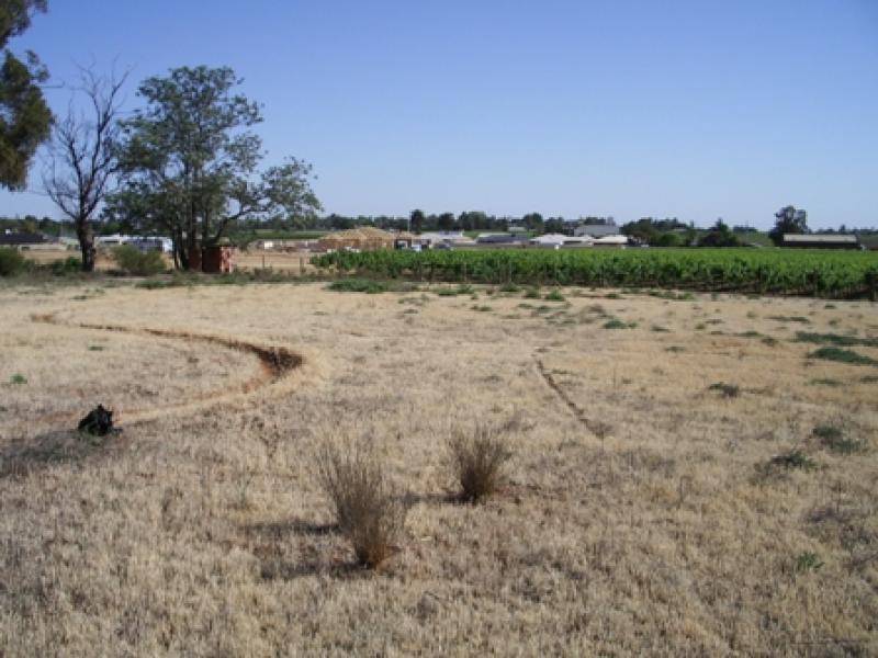 Red Cliffs VIC 3496