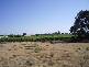 Red Cliffs VIC 3496