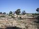 Red Cliffs VIC 3496