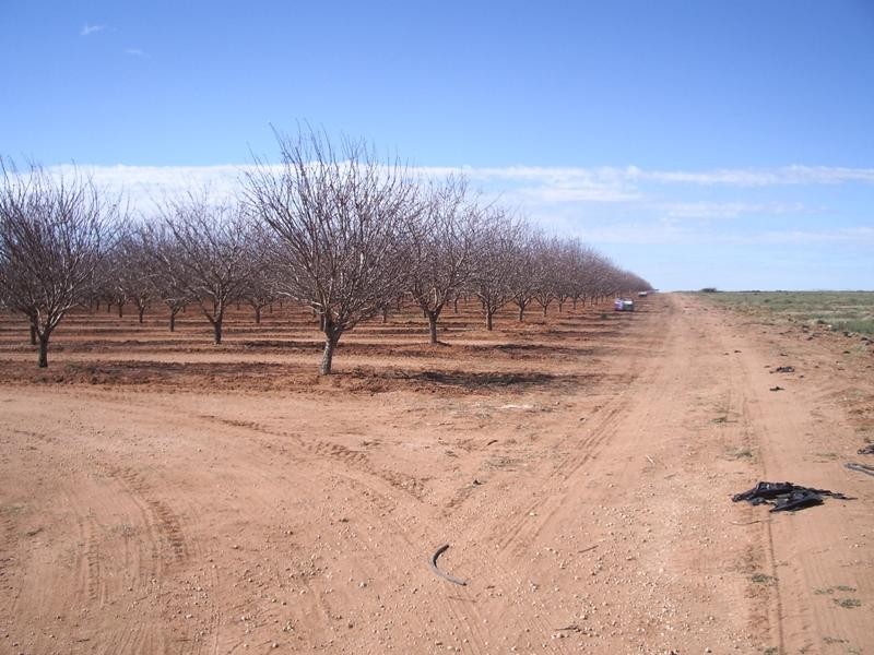 Lot 1 & 2 STURT HIGHWAY, Cullulleraine VIC 3496