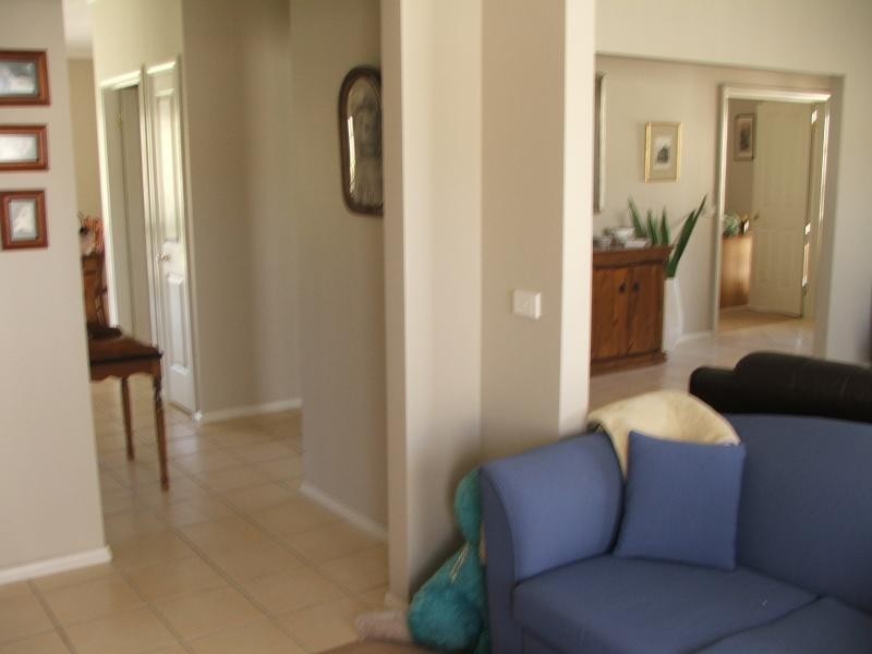 56 CARRAMAR DRIVE, Gol Gol NSW 2738