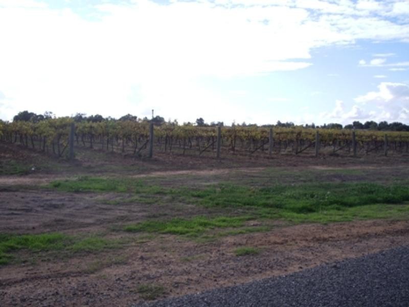 Lot 1/ MORPUNG AVENUE, Nichols Point VIC 3501