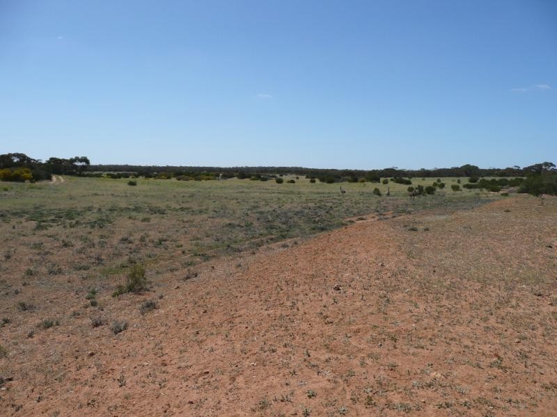 Lot 1 OLD CALDER HIGHWAY, Hattah VIC 3501