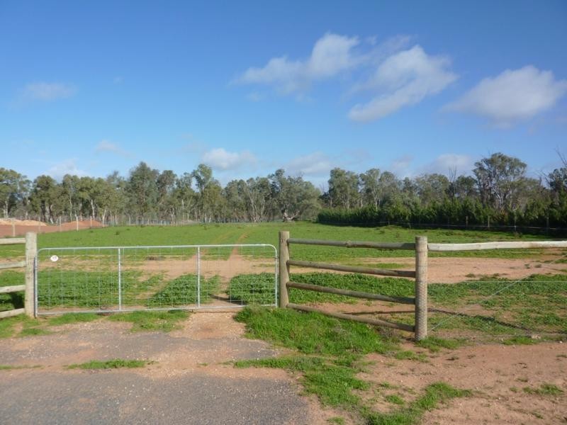 6 Murray Street, Gol Gol NSW 2738