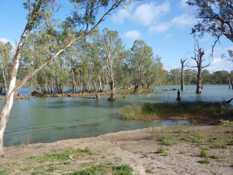 6 Murray Street, Gol Gol NSW 2738