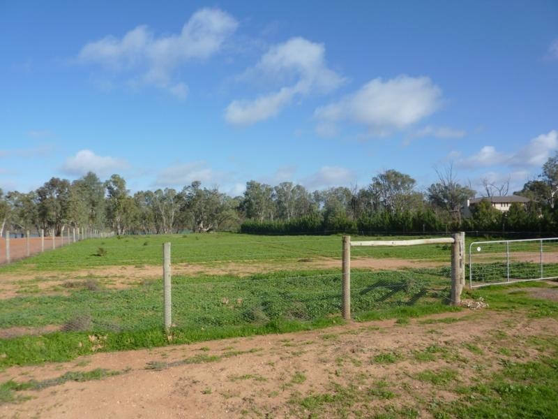 6 Murray Street, Gol Gol NSW 2738