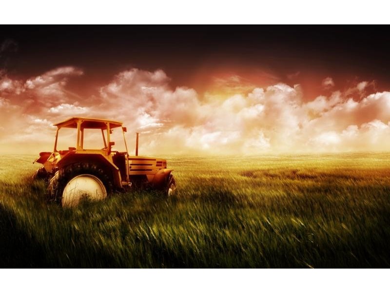 2374 Kulkyne Way, Nangiloc VIC 3494