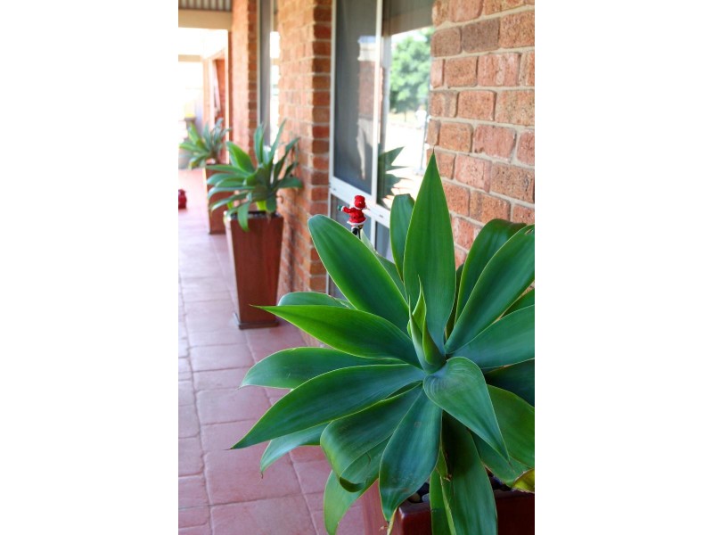 2 Wills Court, Mildura South VIC 3501