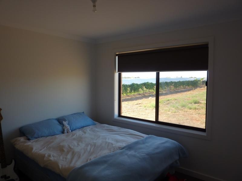 14 Summer Drive, Buronga NSW 2739