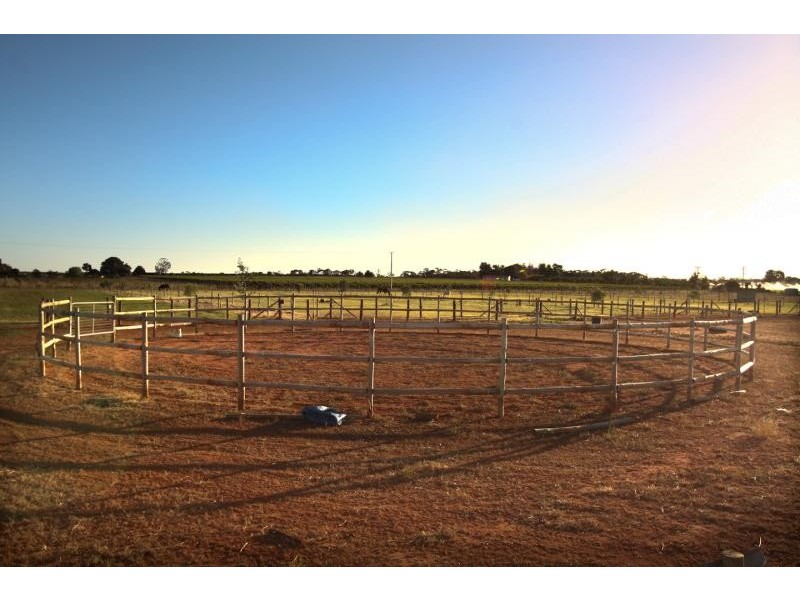 24 Honour Avenue, Merbein VIC 3505