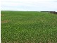 COOLANIE VALLEY, Cowell SA 5602
