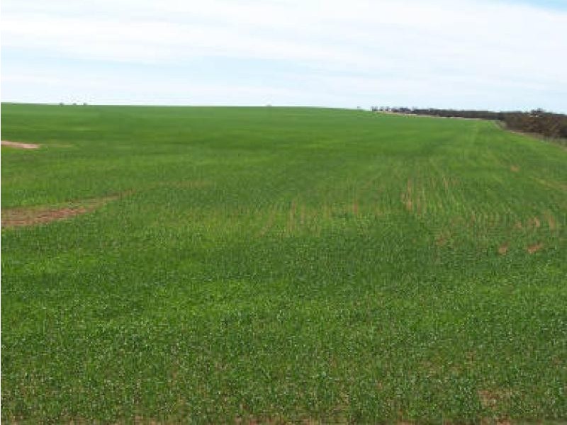 COOLANIE VALLEY, Cowell SA 5602