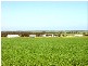 CHILPENUNDA, Streaky Bay SA 5680