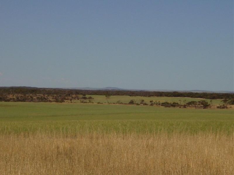 SECTION 191 RESTON PARK RD, Streaky Bay SA 5680