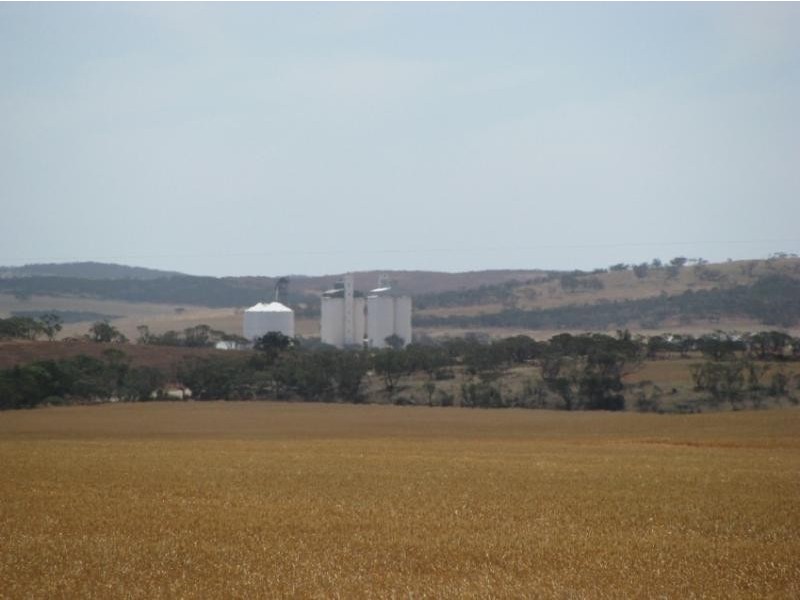 Section 4/ Cowell-Mangalo Road, Mangalo SA 5602