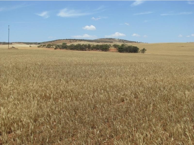 Section 4/ Cowell-Mangalo Road, Mangalo SA 5602