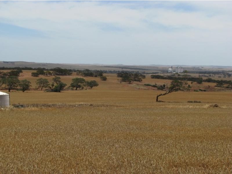 Section 4/ Cowell-Mangalo Road, Mangalo SA 5602