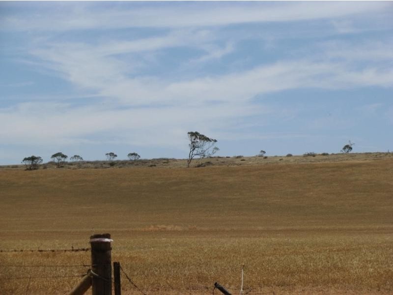 Section 4/ Cowell-Mangalo Road, Mangalo SA 5602