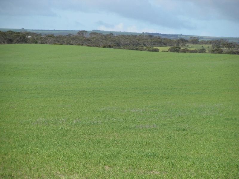 Ungarra SA 5607