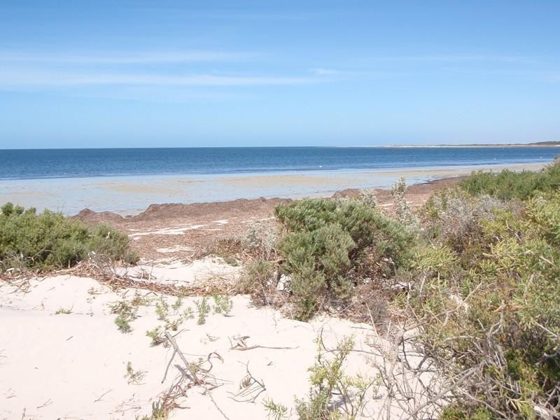 81 LUCKY BAY BOULEVARD, Lucky Bay SA 5602