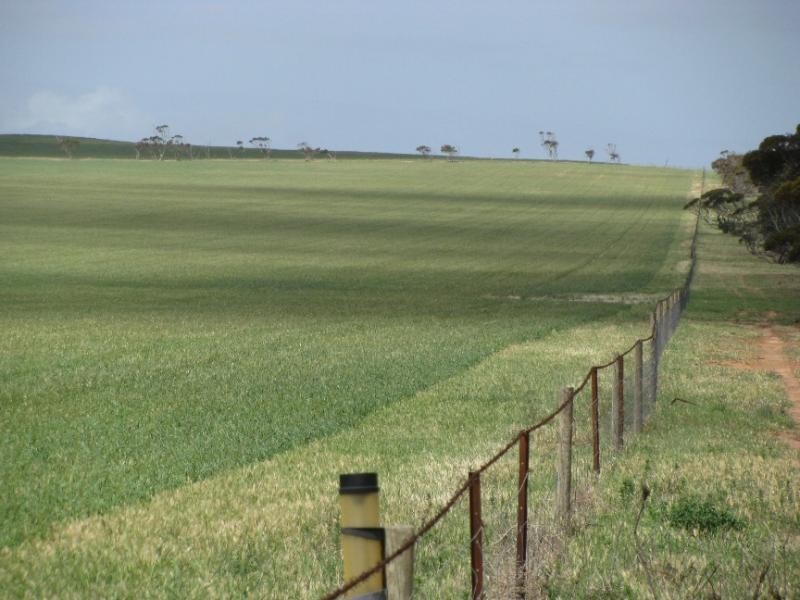 Sections 49, 50 & 61 Hundred of ROBERTS, Cleve SA 5640