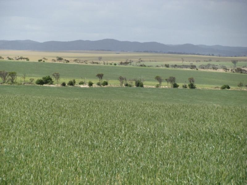 Sections 49, 50 & 61 Hundred of ROBERTS, Cleve SA 5640