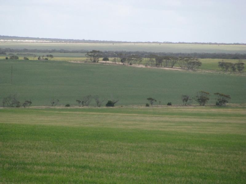 Sections 49, 50 & 61 Hundred of ROBERTS, Cleve SA 5640