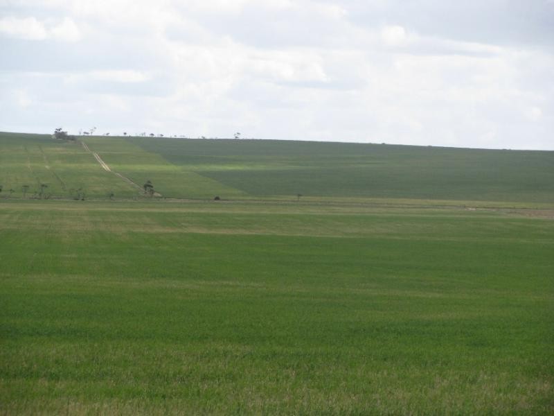 Sections 49, 50 & 61 Hundred of ROBERTS, Cleve SA 5640