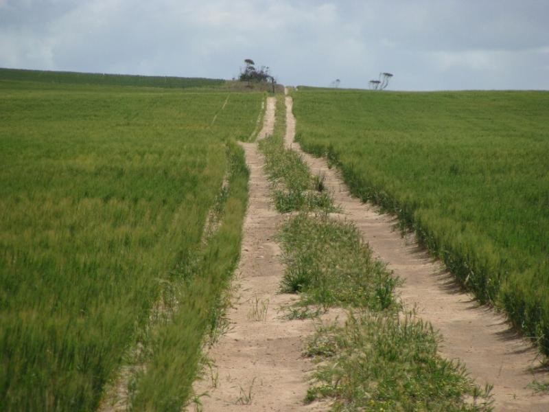 Sections 49, 50 & 61 Hundred of ROBERTS, Cleve SA 5640