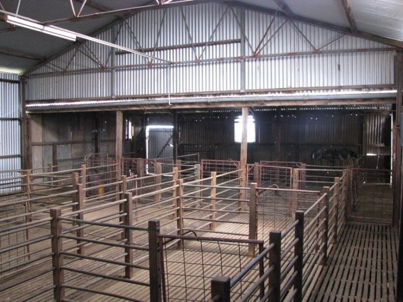 Sections 49, 50 & 61 Hundred of ROBERTS, Cleve SA 5640