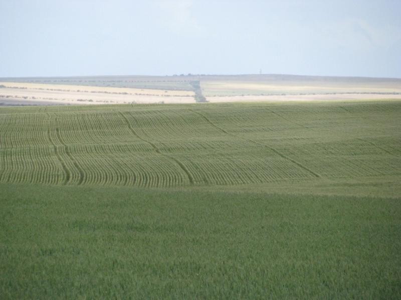 Sections 49, 50 & 61 Hundred of ROBERTS, Cleve SA 5640