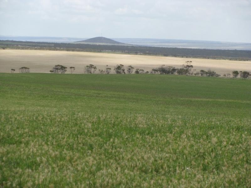 Sections 49, 50 & 61 Hundred of ROBERTS, Cleve SA 5640