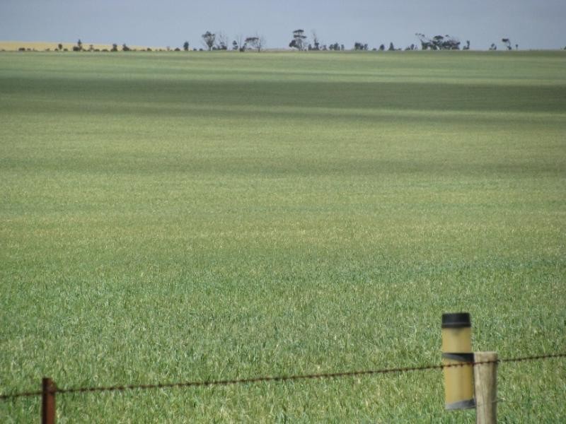 Sections 49, 50 & 61 Hundred of ROBERTS, Cleve SA 5640