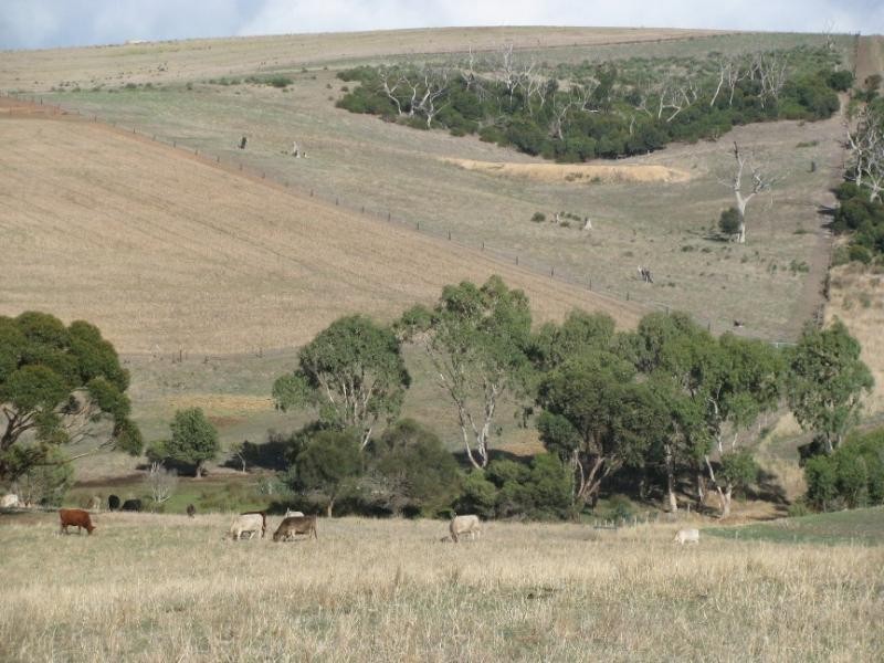 Lot 1/ McFarlane Road, Wanilla SA 5607