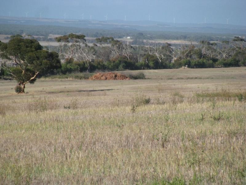 Lot 1/ McFarlane Road, Wanilla SA 5607