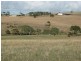 Lot 1/ McFarlane Road, Wanilla SA 5607