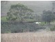 Lot 1/ McFarlane Road, Wanilla SA 5607