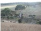 Lot 1/ McFarlane Road, Wanilla SA 5607