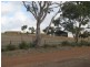 Lot 1/ McFarlane Road, Wanilla SA 5607