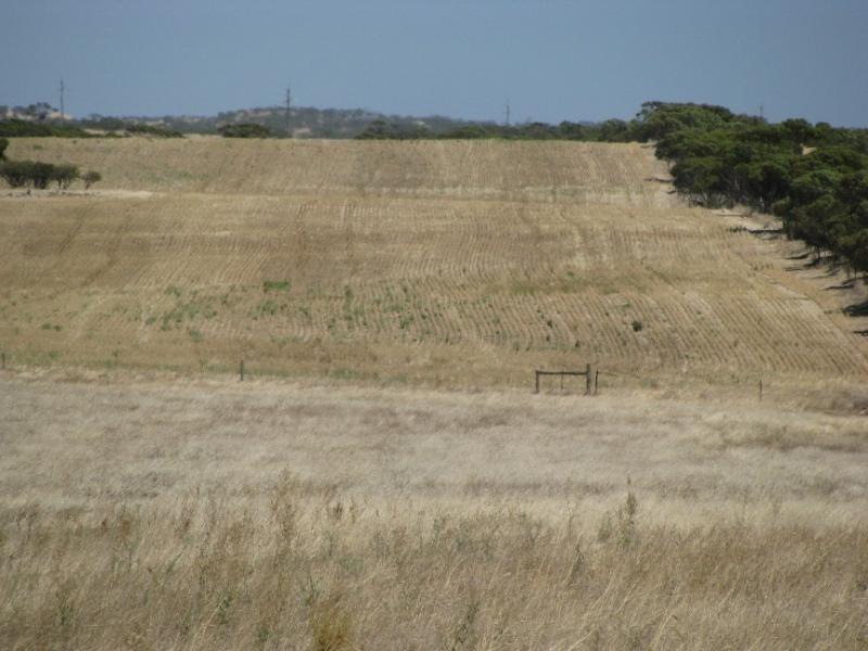 Section 22&26/ Palkagee Road, Lock SA 5633