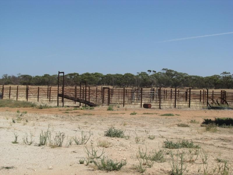 Section 22&26/ Palkagee Road, Lock SA 5633