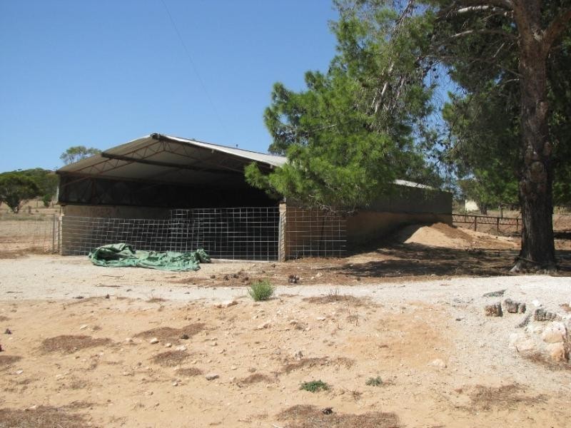 Section 22&26/ Palkagee Road, Lock SA 5633
