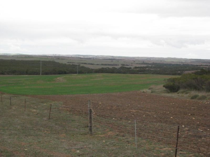 Cleve SA 5640