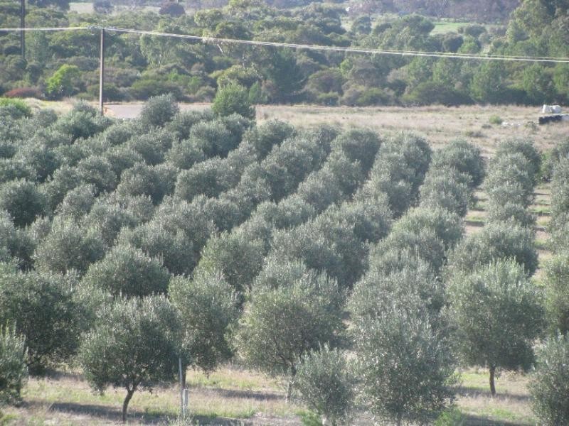 Lot 14/ Concorde Road, Port Lincoln SA 5606