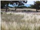 28 Will Street Thevenard, Ceduna SA 5690
