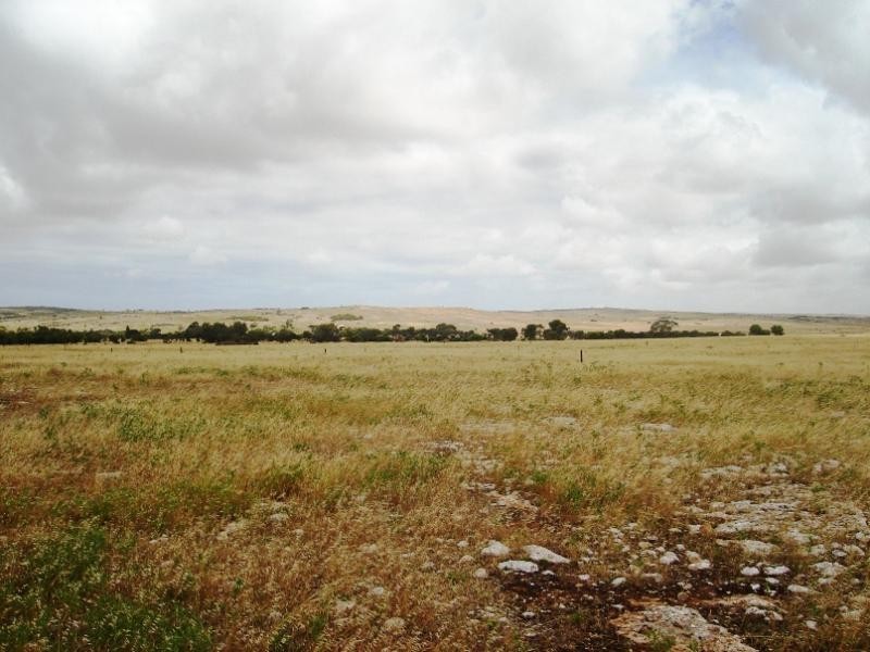 Section 228/ Chickerloo Road, Elliston SA 5670