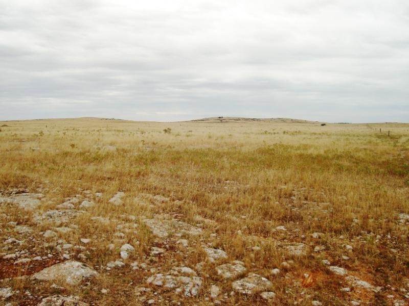 Section 228/ Chickerloo Road, Elliston SA 5670