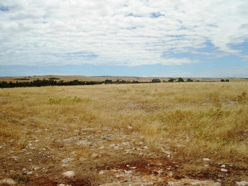 Section 228/ Chickerloo Road, Elliston SA 5670