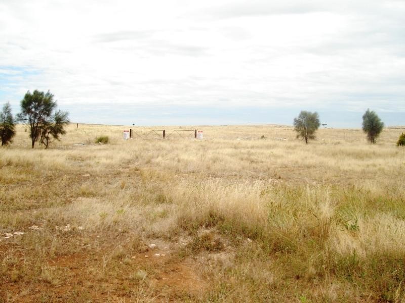 Section 228/ Chickerloo Road, Elliston SA 5670