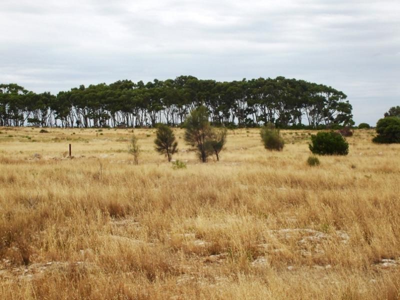 Section 228/ Chickerloo Road, Elliston SA 5670